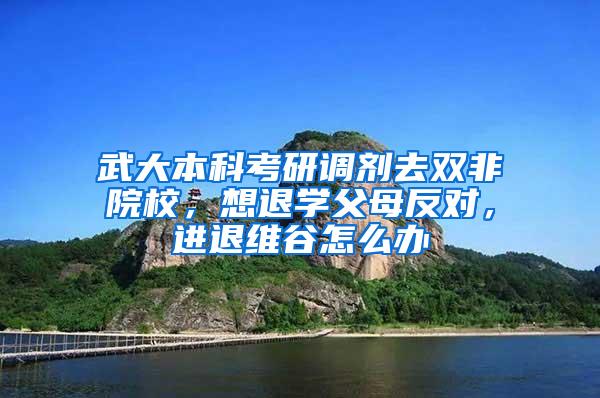 武大本科考研调剂去双非院校，想退学父母反对，进退维谷怎么办