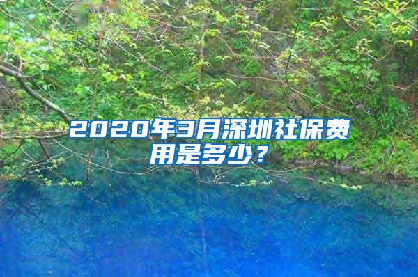 2020年3月深圳社保费用是多少？