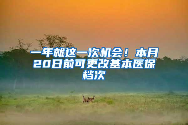 一年就这一次机会！本月20日前可更改基本医保档次