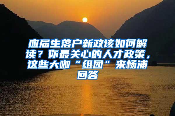 应届生落户新政该如何解读？你最关心的人才政策，这些大咖“组团”来杨浦回答