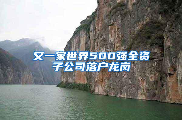 又一家世界500强全资子公司落户龙岗