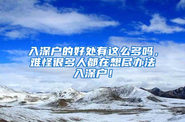 入深户的好处有这么多吗，难怪很多人都在想尽办法入深户！