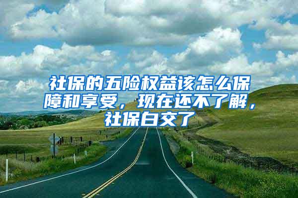 社保的五险权益该怎么保障和享受，现在还不了解，社保白交了