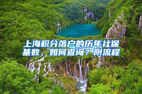 上海积分落户的历年社保基数，如何查询？附流程