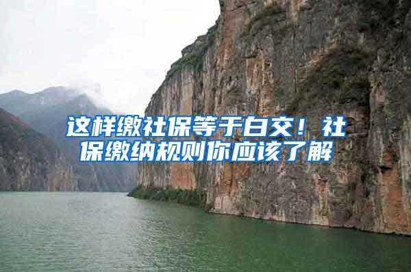 这样缴社保等于白交！社保缴纳规则你应该了解