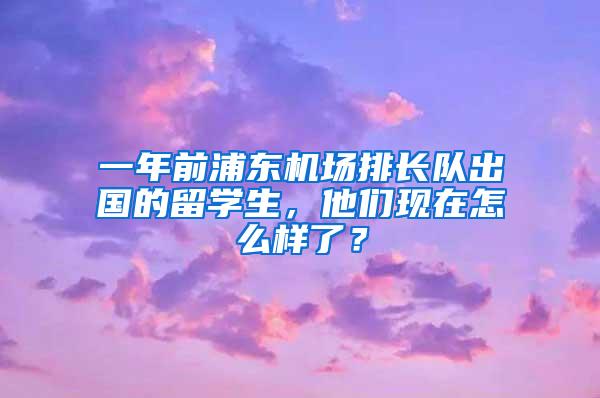 一年前浦东机场排长队出国的留学生，他们现在怎么样了？