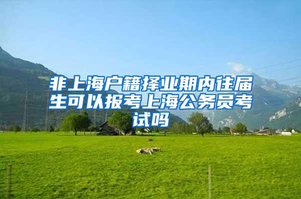 非上海户籍择业期内往届生可以报考上海公务员考试吗