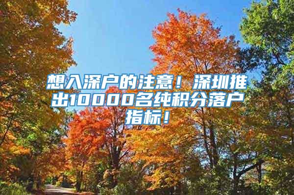 想入深户的注意！深圳推出10000名纯积分落户指标！