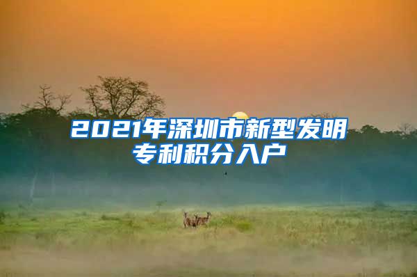 2021年深圳市新型发明专利积分入户