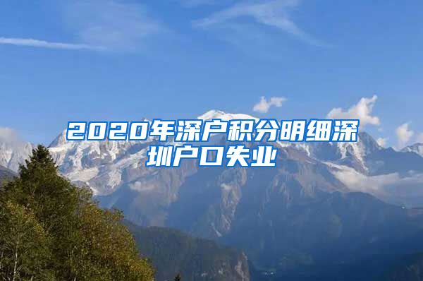 2020年深户积分明细深圳户口失业