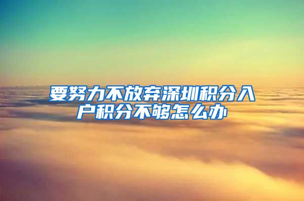 要努力不放弃深圳积分入户积分不够怎么办