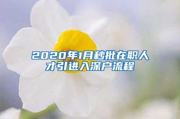 2020年1月秒批在职人才引进入深户流程