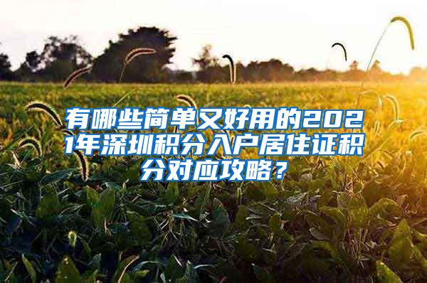 有哪些简单又好用的2021年深圳积分入户居住证积分对应攻略？