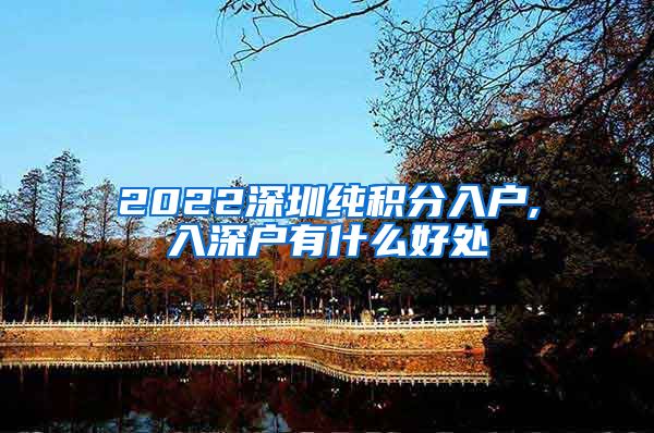 2022深圳纯积分入户,入深户有什么好处