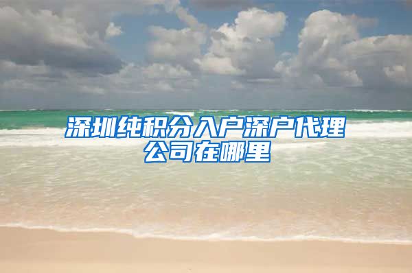 深圳纯积分入户深户代理公司在哪里