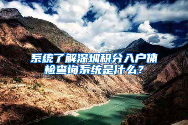 系统了解深圳积分入户体检查询系统是什么？