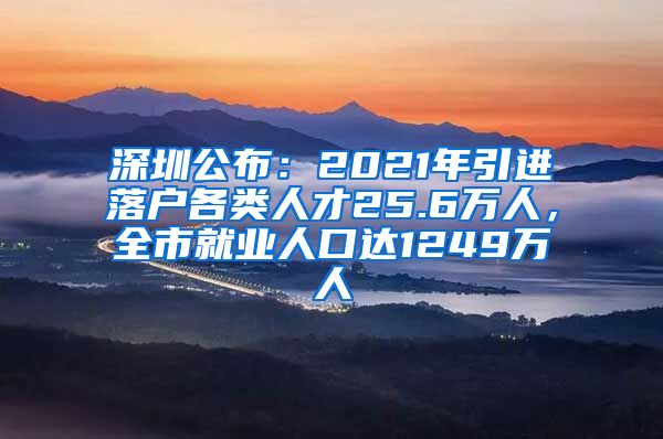 深圳公布：2021年引进落户各类人才25.6万人，全市就业人口达1249万人