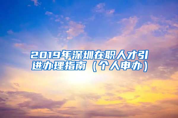 2019年深圳在职人才引进办理指南（个人申办）