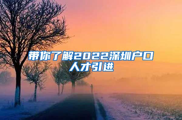 带你了解2022深圳户口人才引进