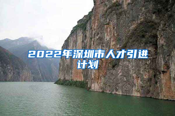 2022年深圳市人才引进计划