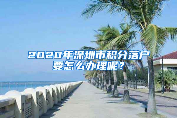 2020年深圳市积分落户要怎么办理呢？