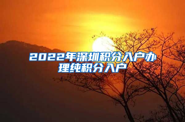 2022年深圳积分入户办理纯积分入户