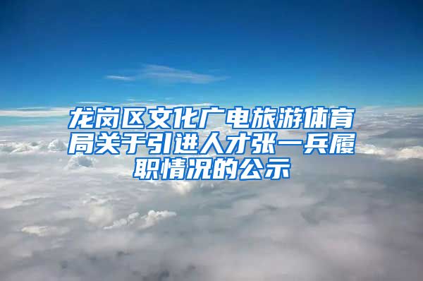 龙岗区文化广电旅游体育局关于引进人才张一兵履职情况的公示