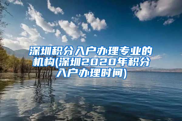 深圳积分入户办理专业的机构(深圳2020年积分入户办理时间)