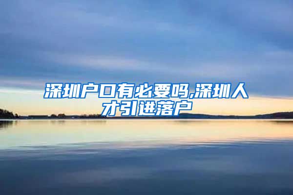 深圳户口有必要吗,深圳人才引进落户