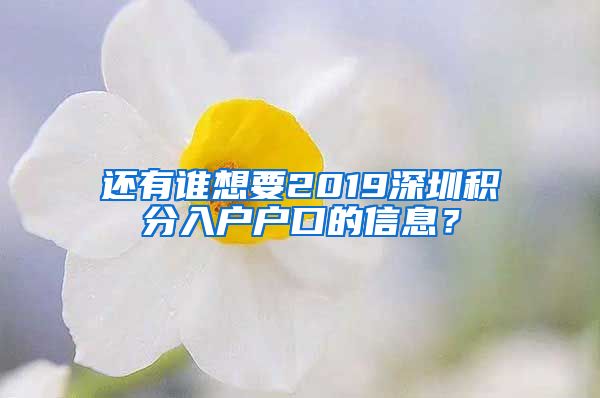 还有谁想要2019深圳积分入户户口的信息？