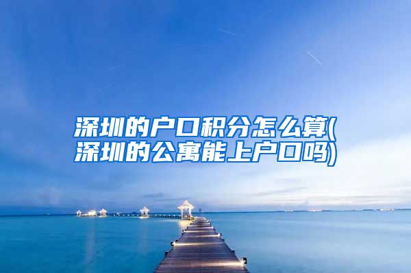 深圳的户口积分怎么算(深圳的公寓能上户口吗)