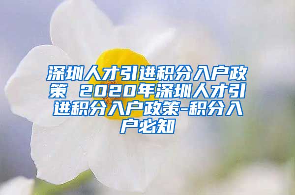 深圳人才引进积分入户政策 2020年深圳人才引进积分入户政策-积分入户必知