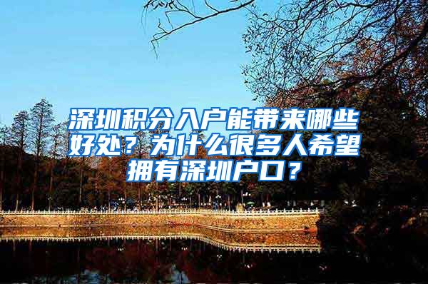 深圳积分入户能带来哪些好处？为什么很多人希望拥有深圳户口？