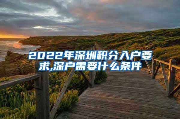 2022年深圳积分入户要求,深户需要什么条件