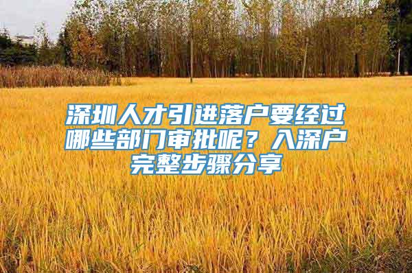 深圳人才引进落户要经过哪些部门审批呢？入深户完整步骤分享