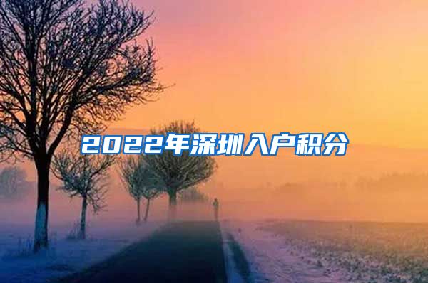 2022年深圳入户积分