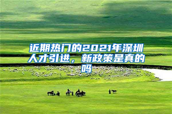 近期热门的2021年深圳人才引进，新政策是真的吗