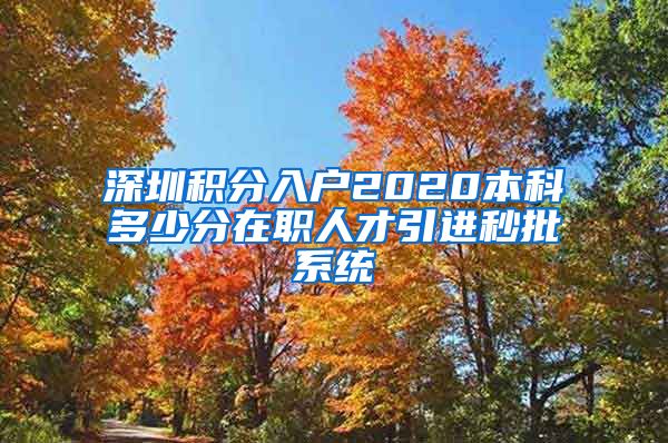 深圳积分入户2020本科多少分在职人才引进秒批系统