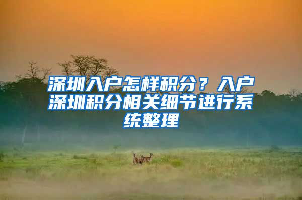 深圳入户怎样积分？入户深圳积分相关细节进行系统整理