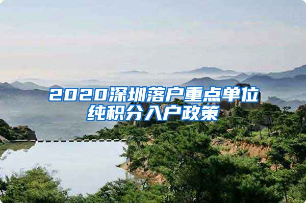 2020深圳落户重点单位纯积分入户政策