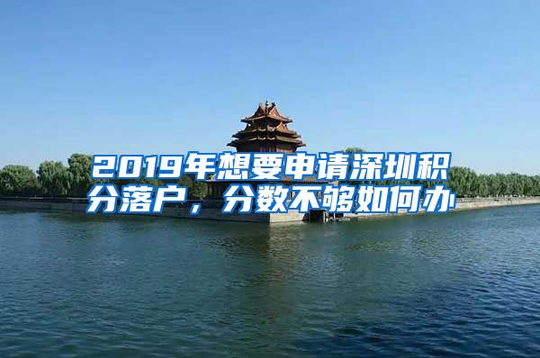 2019年想要申请深圳积分落户，分数不够如何办