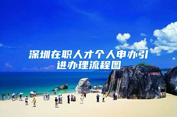 深圳在职人才个人申办引进办理流程图