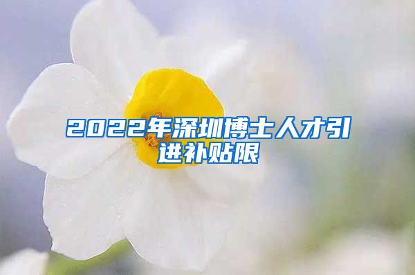 2022年深圳博士人才引进补贴限