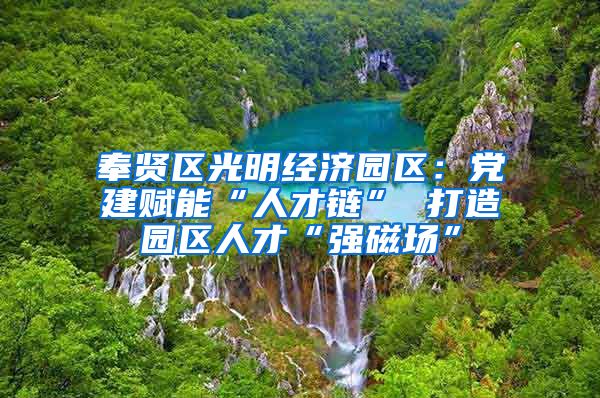 奉贤区光明经济园区：党建赋能“人才链” 打造园区人才“强磁场”