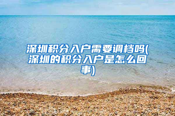 深圳积分入户需要调档吗(深圳的积分入户是怎么回事)