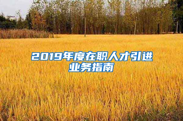 2019年度在职人才引进业务指南