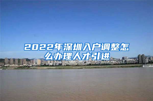 2022年深圳入户调整怎么办理人才引进