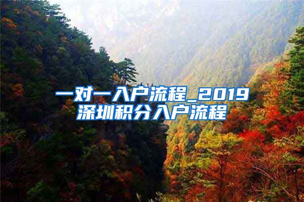 一对一入户流程_2019深圳积分入户流程