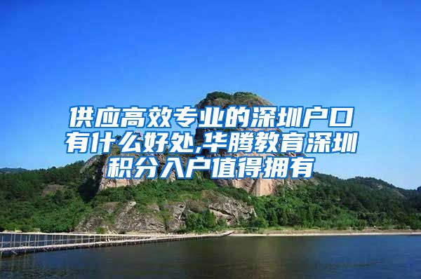 供应高效专业的深圳户口有什么好处,华腾教育深圳积分入户值得拥有