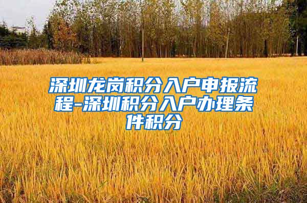 深圳龙岗积分入户申报流程-深圳积分入户办理条件积分